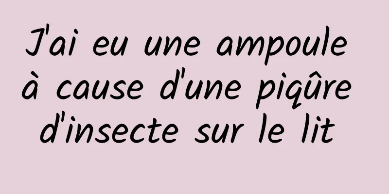 J'ai eu une ampoule à cause d'une piqûre d'insecte sur le lit 