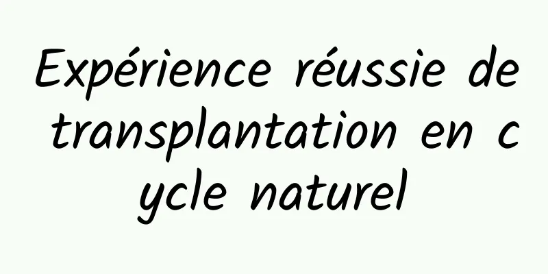 Expérience réussie de transplantation en cycle naturel