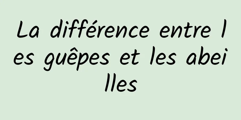 La différence entre les guêpes et les abeilles
