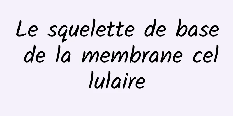 Le squelette de base de la membrane cellulaire