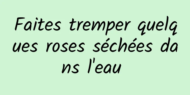 Faites tremper quelques roses séchées dans l'eau 
