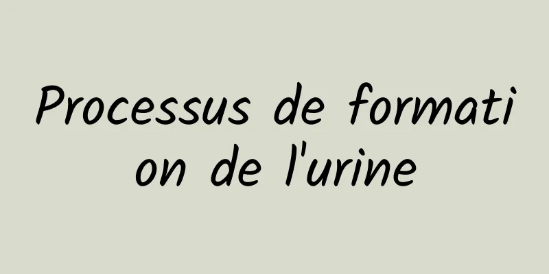 Processus de formation de l'urine