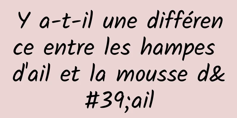 Y a-t-il une différence entre les hampes d'ail et la mousse d'ail