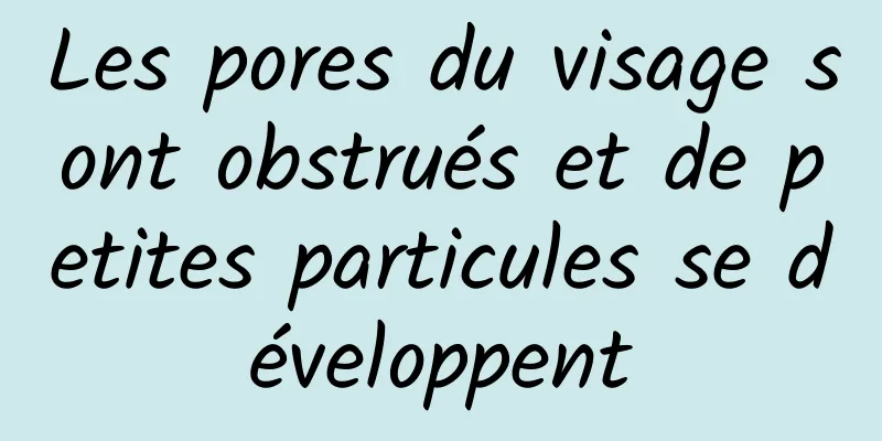 Les pores du visage sont obstrués et de petites particules se développent