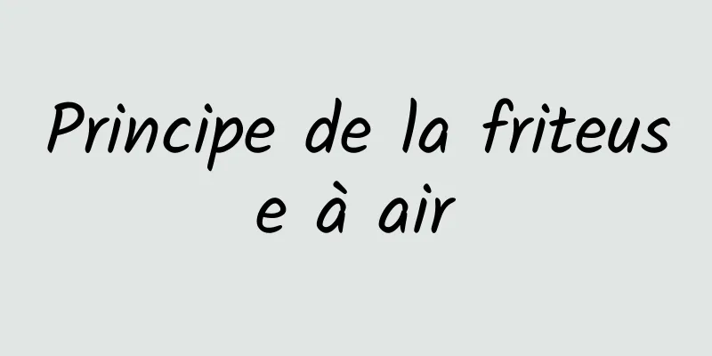 Principe de la friteuse à air