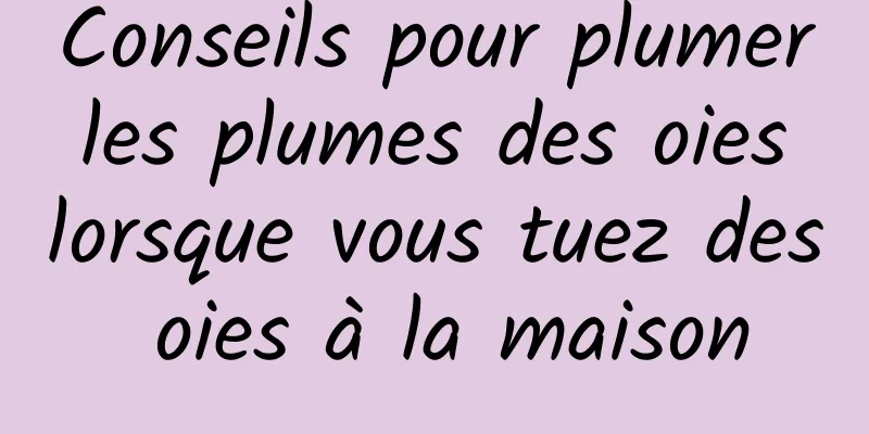 Conseils pour plumer les plumes des oies lorsque vous tuez des oies à la maison