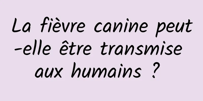 La fièvre canine peut-elle être transmise aux humains ? 