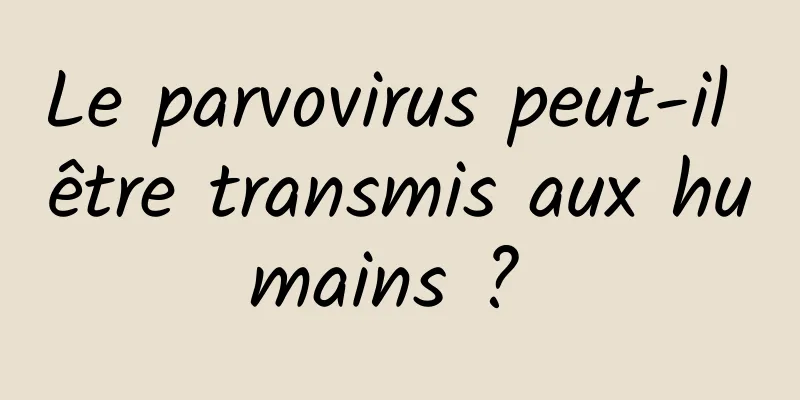 Le parvovirus peut-il être transmis aux humains ? 