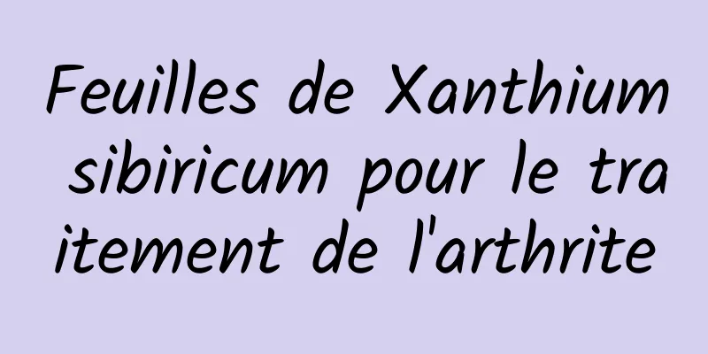 Feuilles de Xanthium sibiricum pour le traitement de l'arthrite