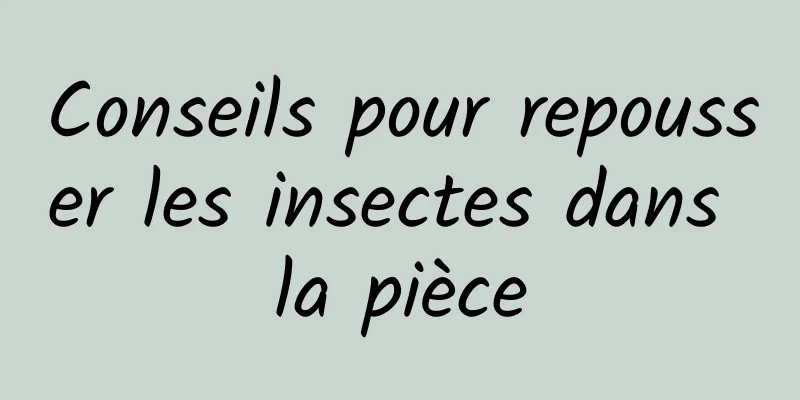 Conseils pour repousser les insectes dans la pièce