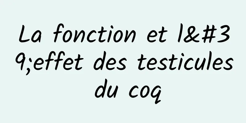 La fonction et l'effet des testicules du coq