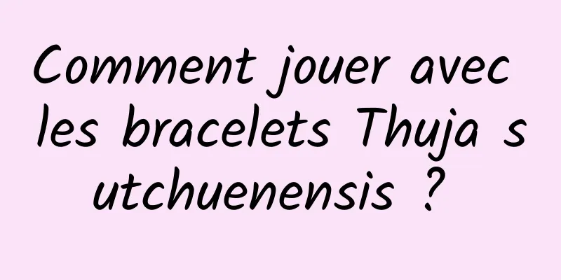 Comment jouer avec les bracelets Thuja sutchuenensis ? 