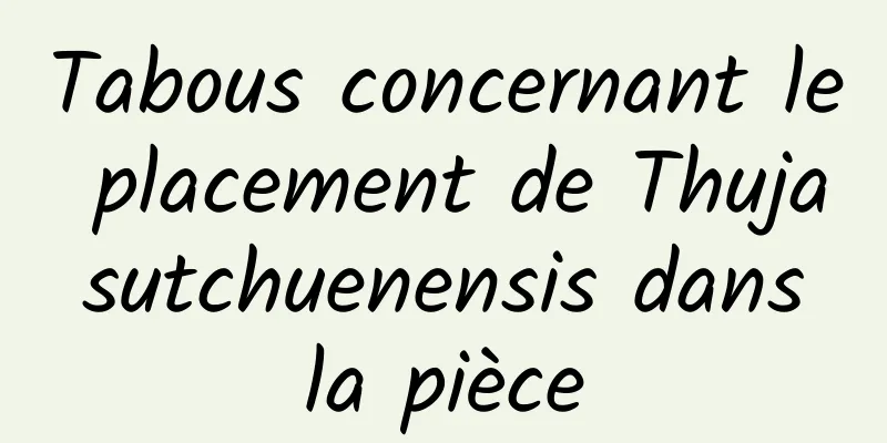 Tabous concernant le placement de Thuja sutchuenensis dans la pièce