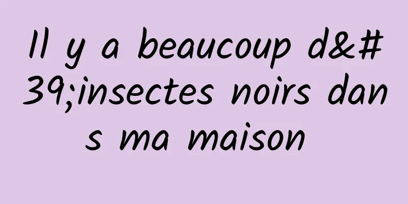 Il y a beaucoup d'insectes noirs dans ma maison 