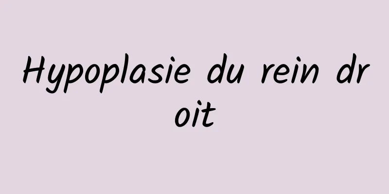 Hypoplasie du rein droit