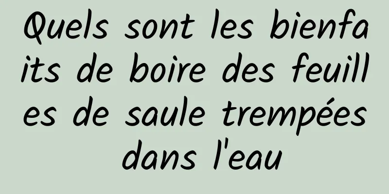 Quels sont les bienfaits de boire des feuilles de saule trempées dans l'eau
