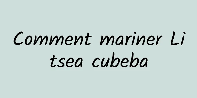 Comment mariner Litsea cubeba