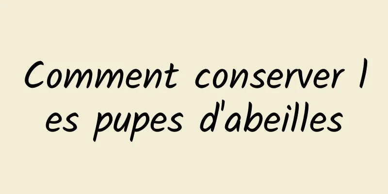 Comment conserver les pupes d'abeilles
