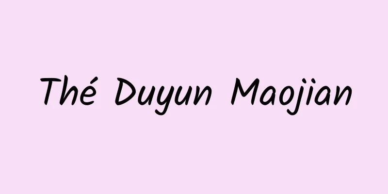 Thé Duyun Maojian