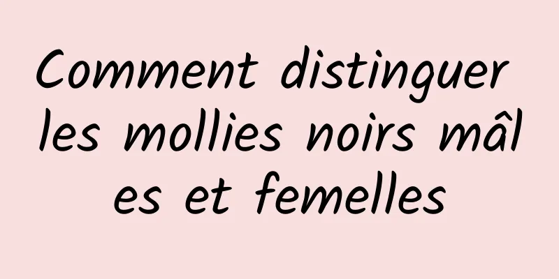 Comment distinguer les mollies noirs mâles et femelles