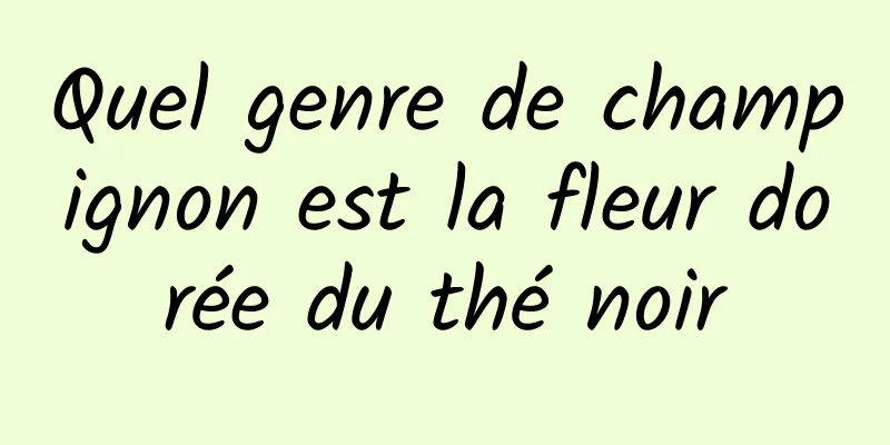 Quel genre de champignon est la fleur dorée du thé noir