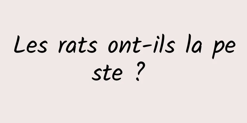 Les rats ont-ils la peste ? 