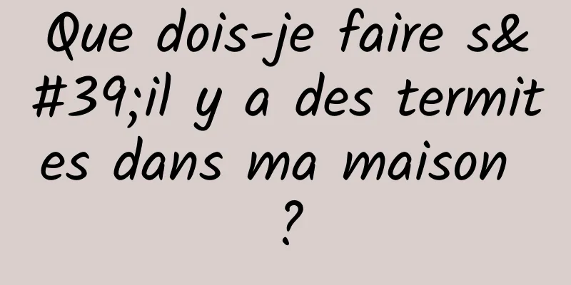 Que dois-je faire s'il y a des termites dans ma maison ?