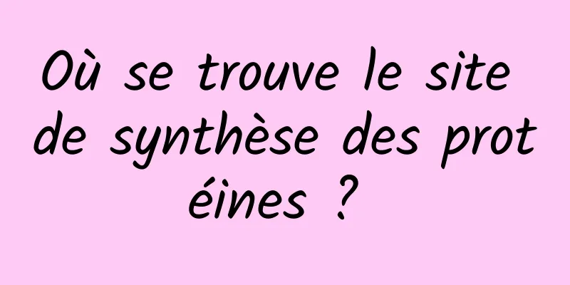 Où se trouve le site de synthèse des protéines ? 