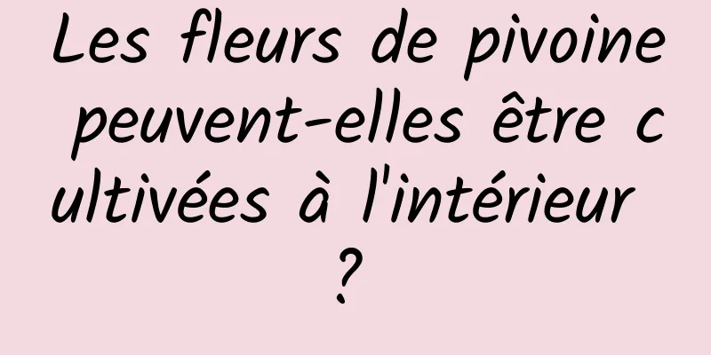 Les fleurs de pivoine peuvent-elles être cultivées à l'intérieur ? 