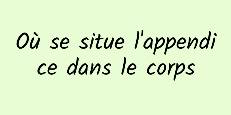 Où se situe l'appendice dans le corps