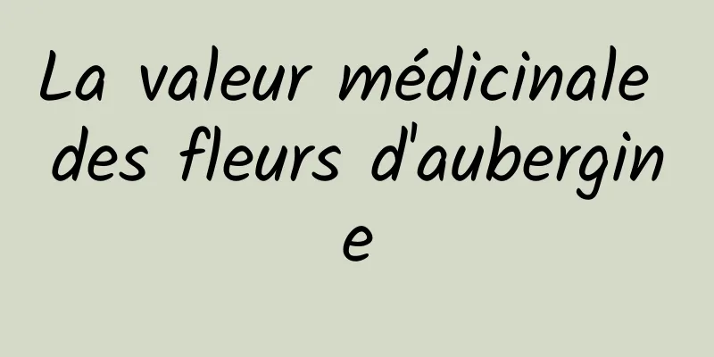 ​La valeur médicinale des fleurs d'aubergine