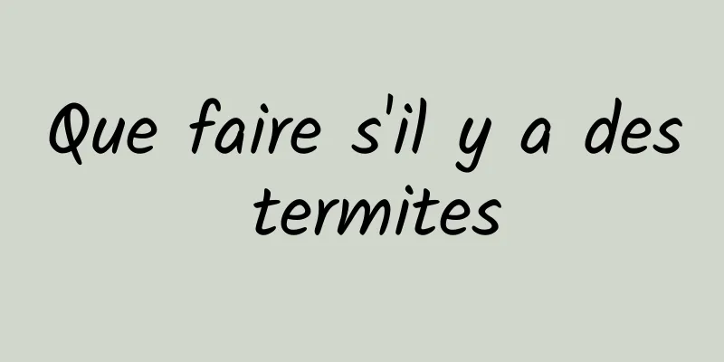 Que faire s'il y a des termites