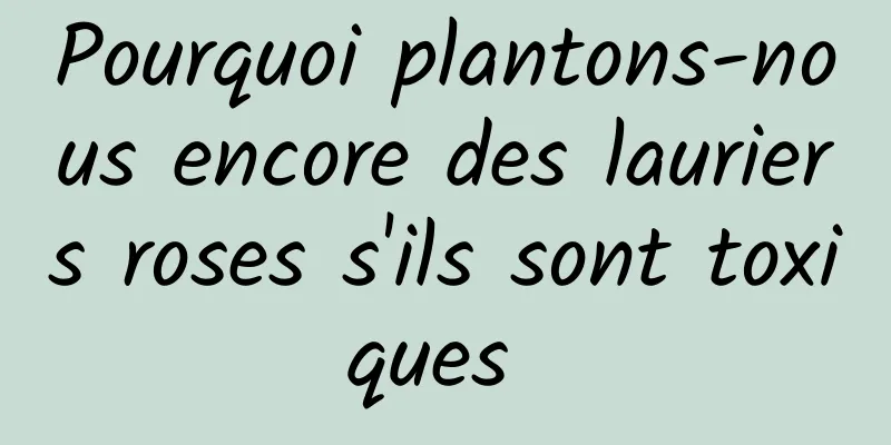 ​Pourquoi plantons-nous encore des lauriers roses s'ils sont toxiques 