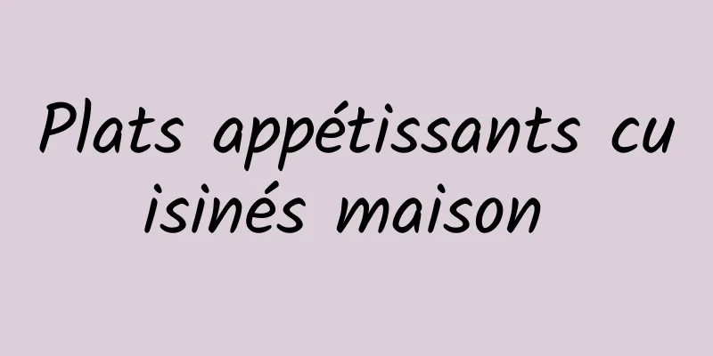 ​Plats appétissants cuisinés maison 