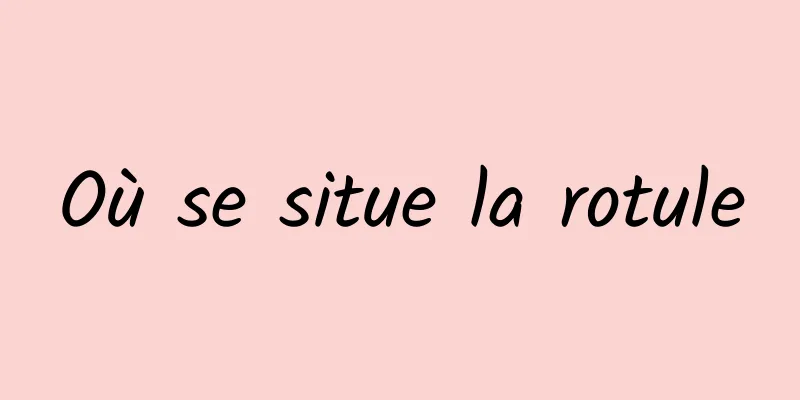 Où se situe la rotule