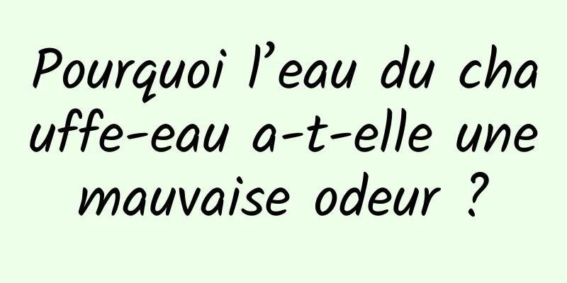 Pourquoi l’eau du chauffe-eau a-t-elle une mauvaise odeur ? 