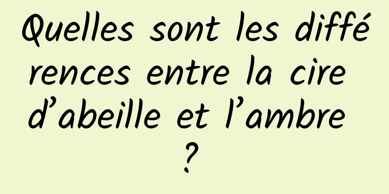 Quelles sont les différences entre la cire d’abeille et l’ambre ? 