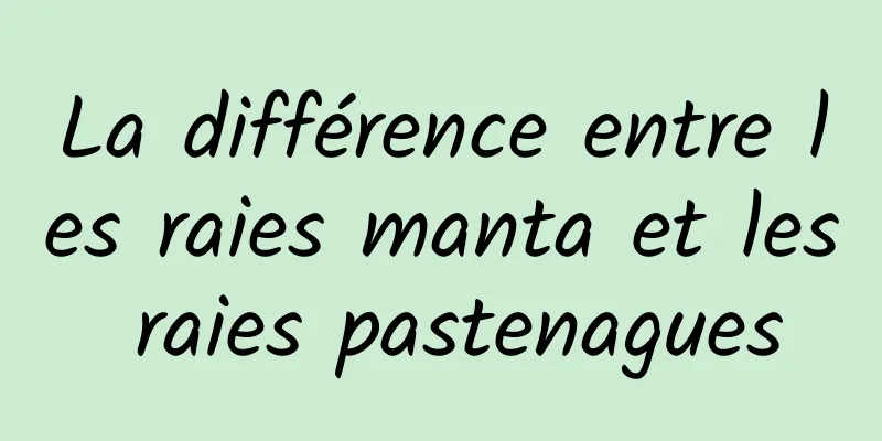La différence entre les raies manta et les raies pastenagues