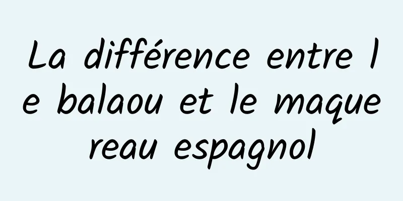 La différence entre le balaou et le maquereau espagnol