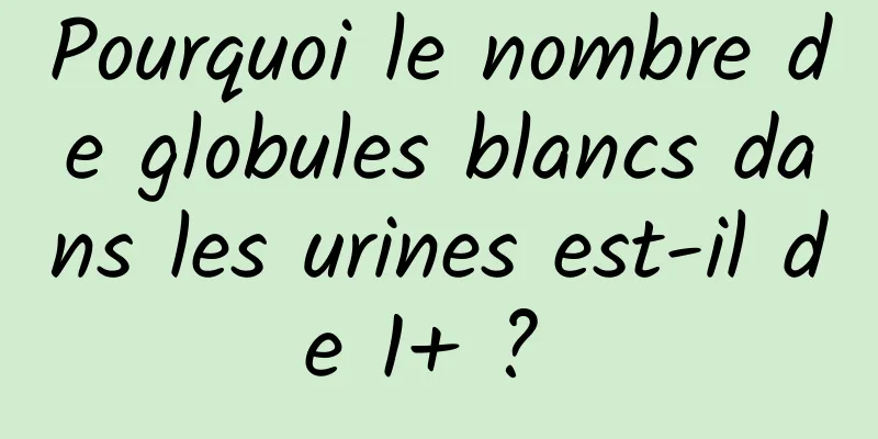 Pourquoi le nombre de globules blancs dans les urines est-il de 1+ ? 