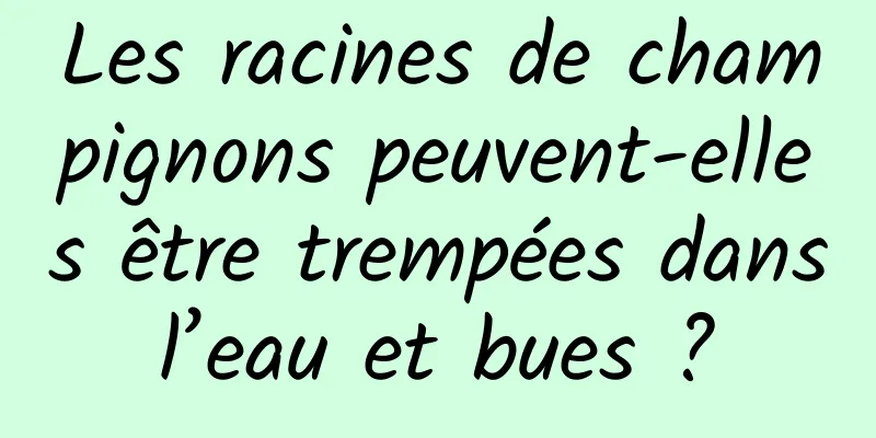 Les racines de champignons peuvent-elles être trempées dans l’eau et bues ? 