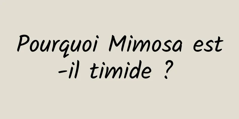 Pourquoi Mimosa est-il timide ? 
