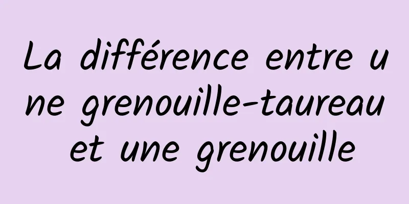 La différence entre une grenouille-taureau et une grenouille