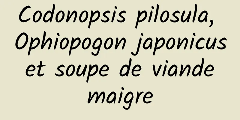 Codonopsis pilosula, Ophiopogon japonicus et soupe de viande maigre