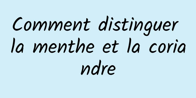 Comment distinguer la menthe et la coriandre