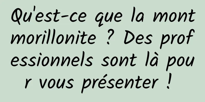 Qu'est-ce que la montmorillonite ? Des professionnels sont là pour vous présenter ! 