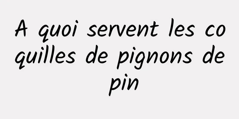 A quoi servent les coquilles de pignons de pin
