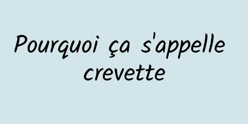 Pourquoi ça s'appelle crevette