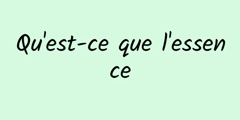 Qu'est-ce que l'essence