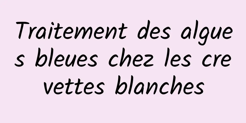 Traitement des algues bleues chez les crevettes blanches